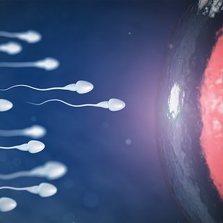 Раскрыта женская защита от лишней спермы