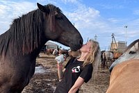 Российская студентка сумела создать самый большой конный приют страны. Как и от кого она спасает лошадей?