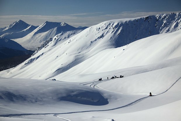 Вводная картинка