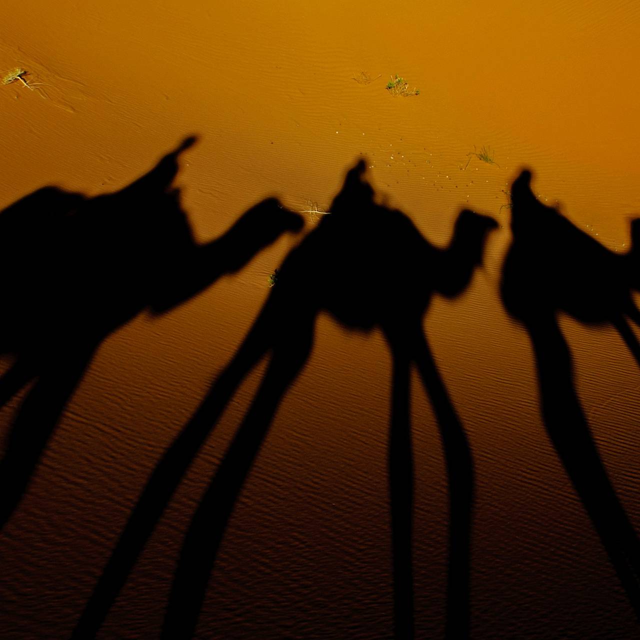 Фото: Jakub Jacobsky / Unsplash