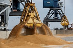 В Европе придумали способ снизить спрос на зерно из России