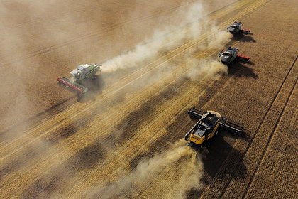 В Кремле ответили на сообщения о планах ЕС ввести пошлины на зерно из России