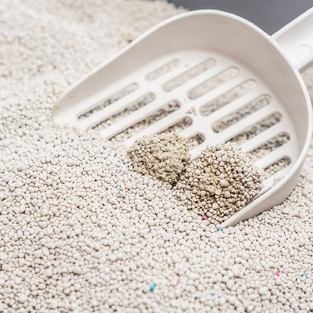 Российскую трассу засыпало наполнителем для кошачьего туалета