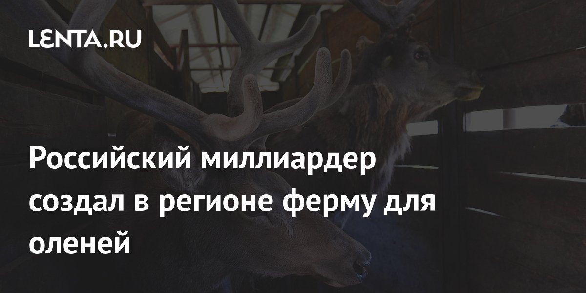 Российский миллиардер создал в регионе ферму для оленей: Люди: Моя ...