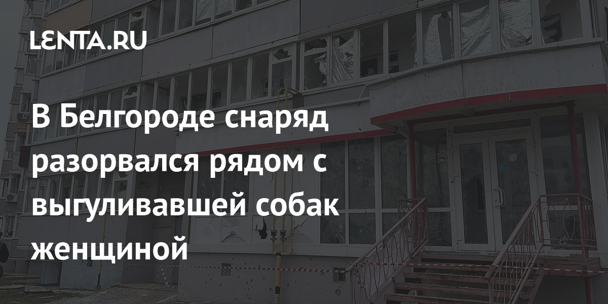 В Белгороде снаряд разорвался рядом с выгуливавшей собак женщиной