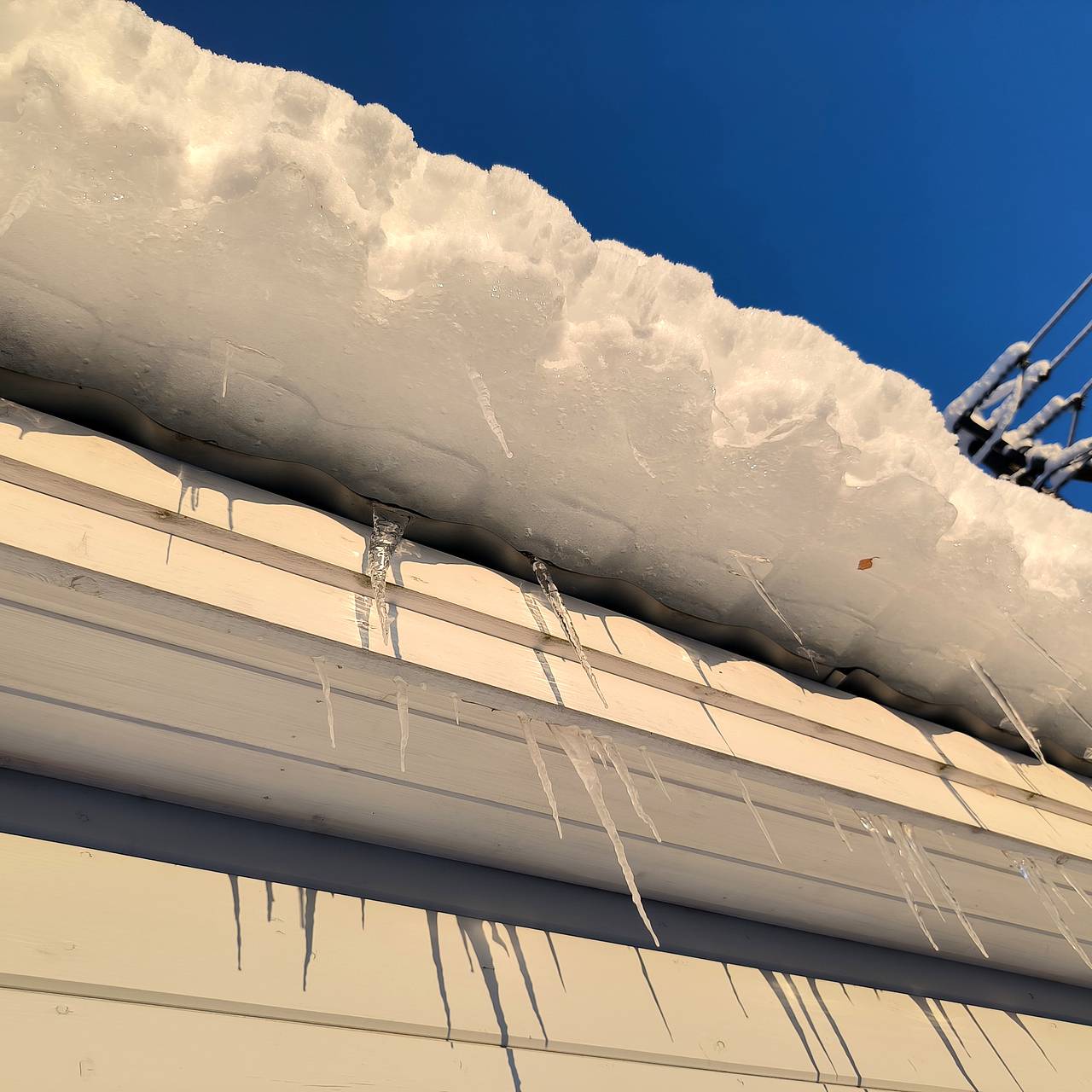 Фото: Maksim Konstantinov / Globallookpress.com