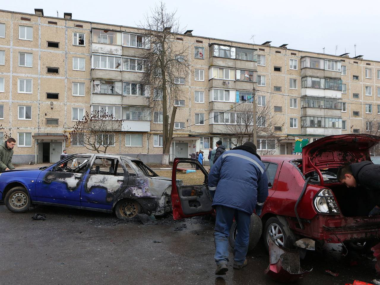 Шойгу ответил на вопрос о мобилизации из-за обстрелов Белгородской области:  Происшествия: Россия: Lenta.ru