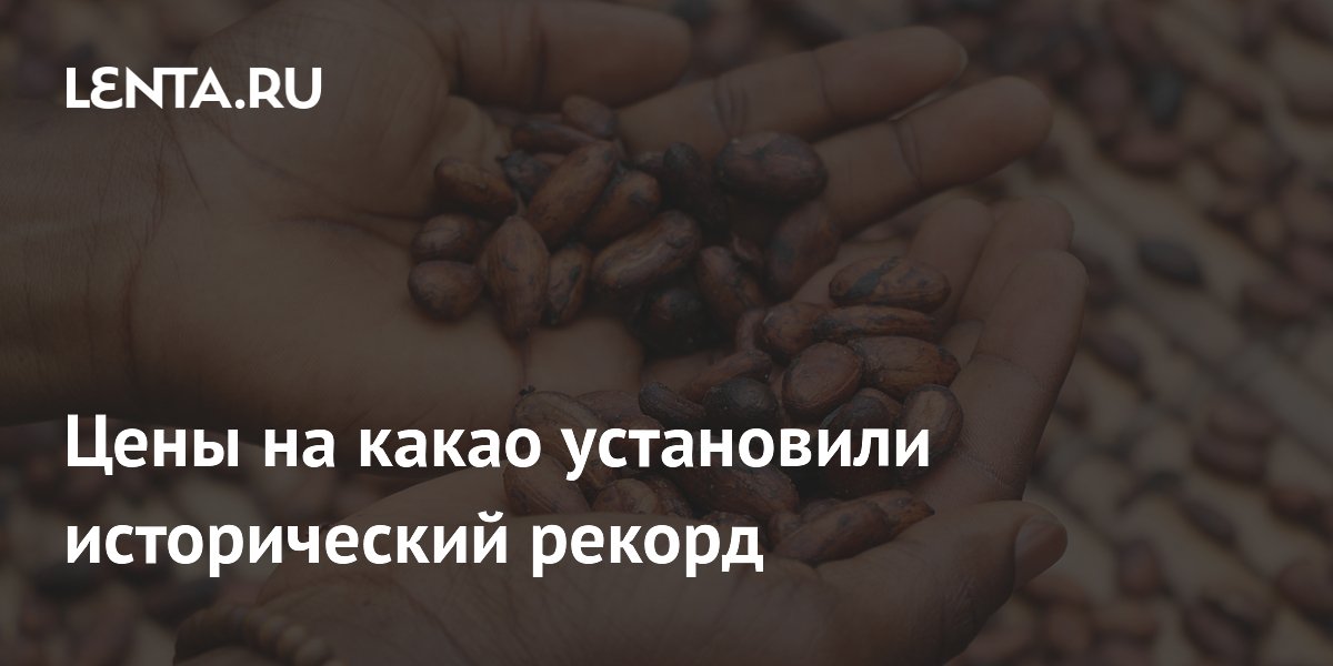 Цены на какао установили исторический рекорд: Рынки: Экономика: Lenta.ru