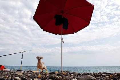 Россияне потребовали у туроператора 500 тысяч рублей за сломанные зонты на пляже