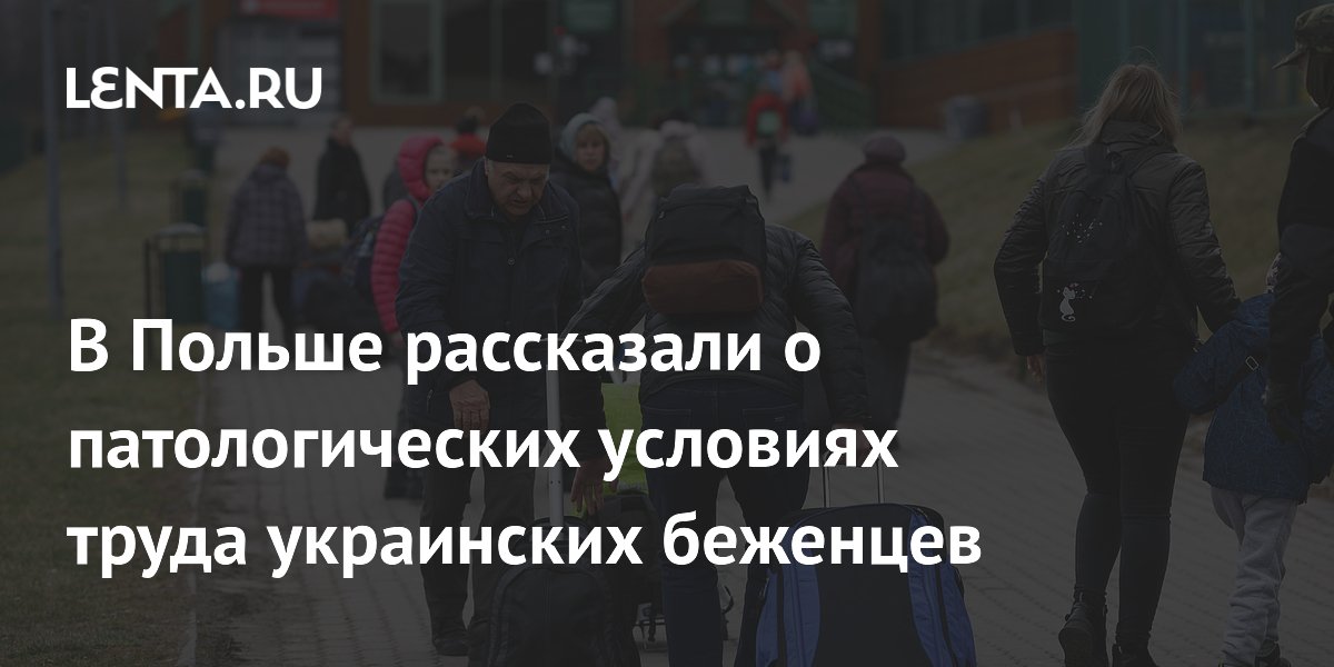 центр для беженцев в швейцарии. жилье для беженцев. дети эмигрантов. пункты временного размещения беженцев с украины. центры беженцев.