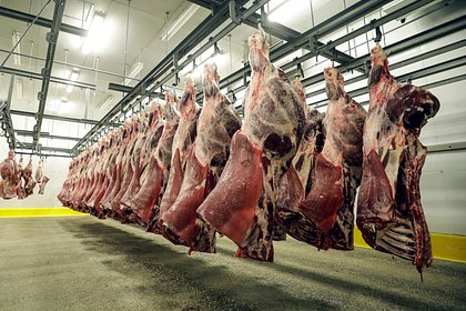 Назван главный иностранный поставщик мяса в Россию