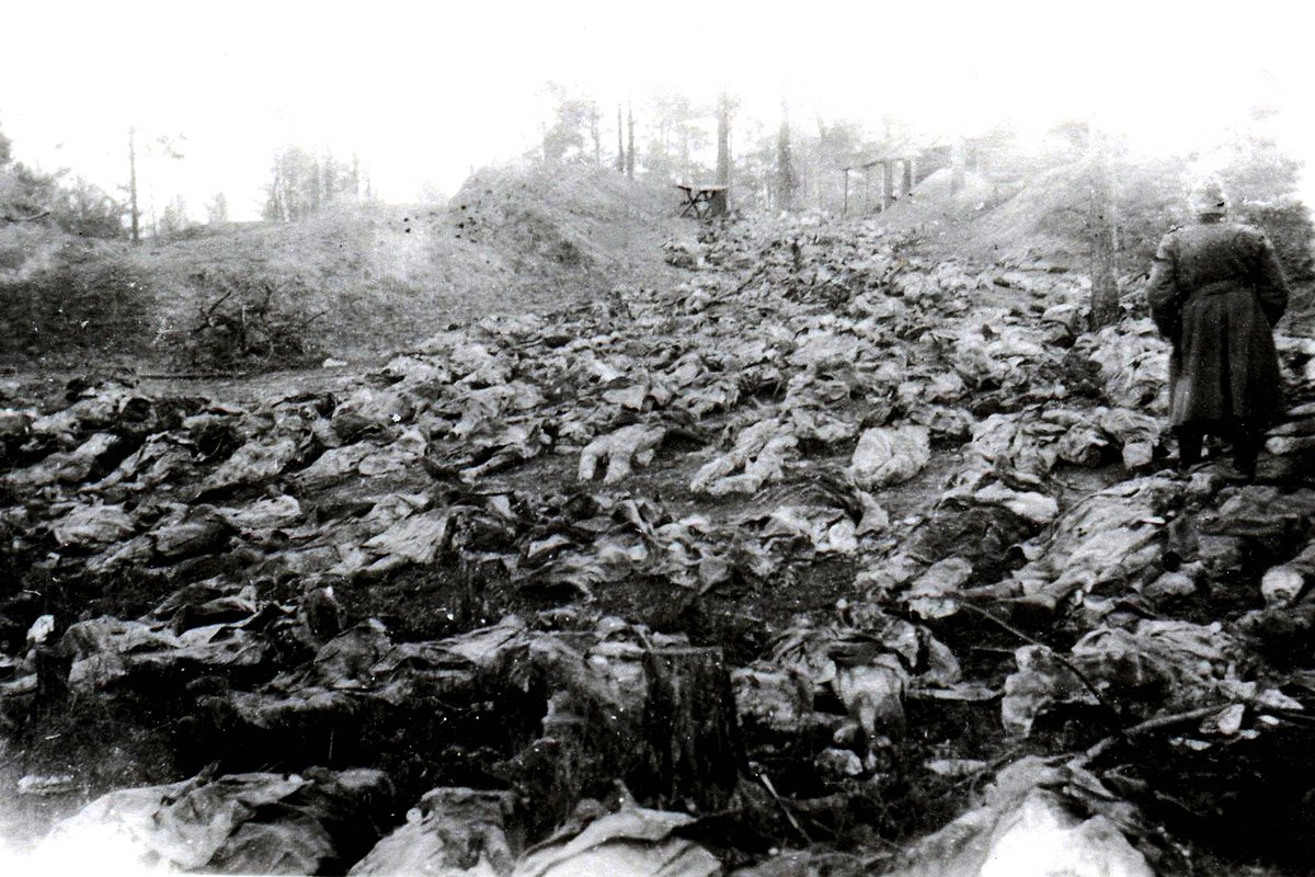 Проведенная немцами эксгумация останков польских офицеров в Катыни, 1943 год 