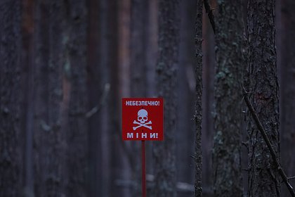 В Норвегии подняли вопрос о расследовании применения Киевом противопехотных мин