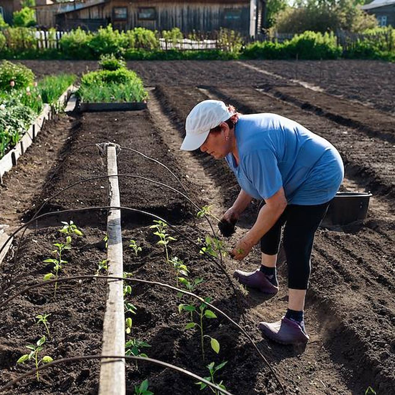 Фото: Алексей Мальгавко / Коммерсантъ