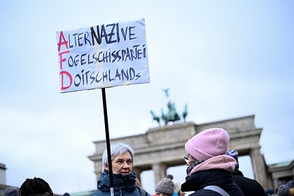 В Германии захотели запретить популярную правую партию