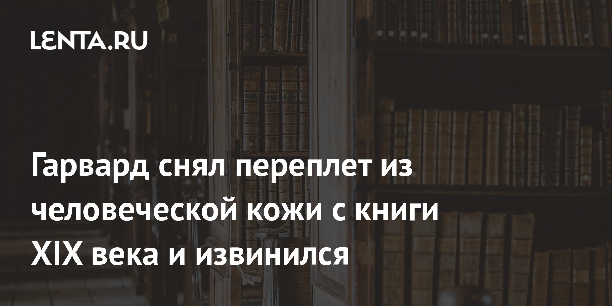 Книги в кожаном переплете: как сейчас создаются шедевры