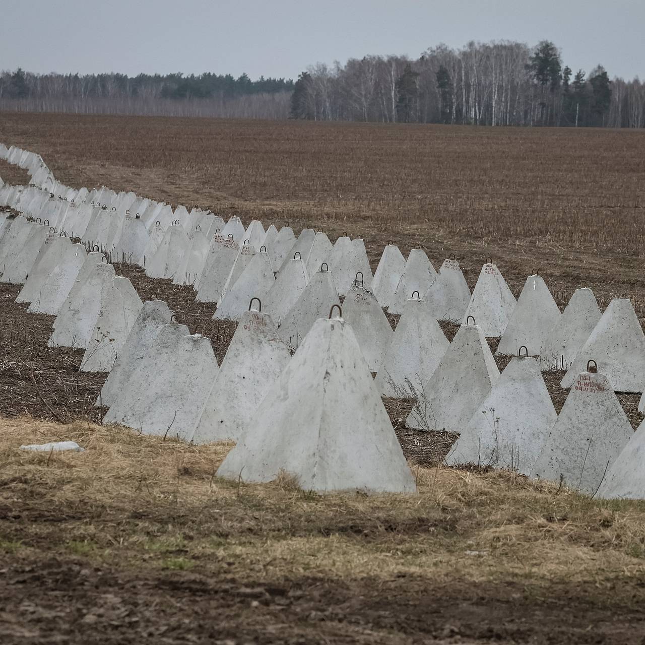 Под Киевом установили тысячи «зубов дракона»: Украина: Бывший СССР: Lenta.ru