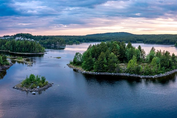 Вводная картинка