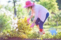 Как вырастить в саду бересклет? Описание сортов кустарника, особенности растения, советы по посадке и уходу