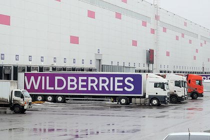 Wildberries потратит более 100 миллиардов на новые склады