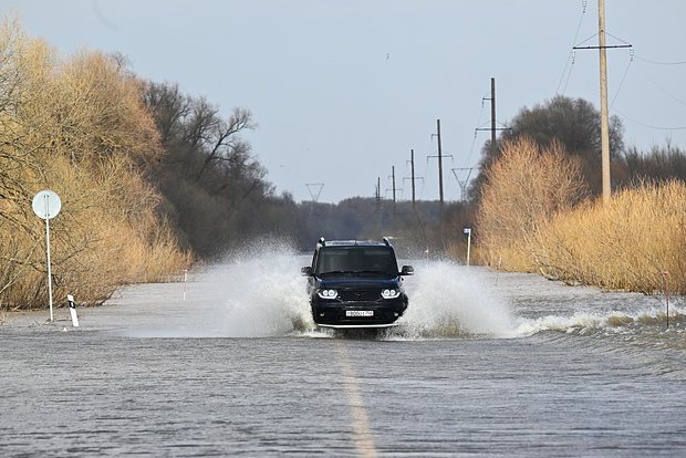 Вводная картинка