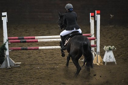 Российскую всадницу дисквалифицировали за избиение лошади