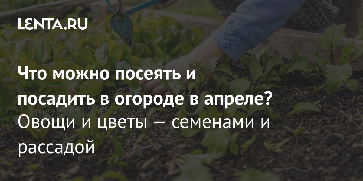 30 дел, которые надо сделать в саду, огороде и цветнике в апреле