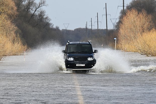 Вводная картинка