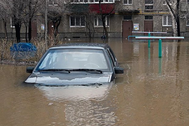 Вводная картинка