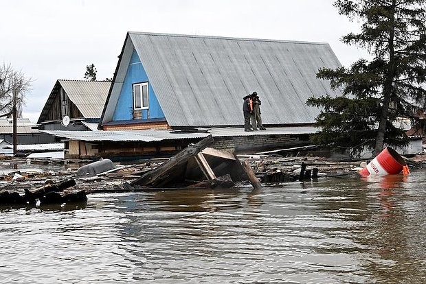 Вводная картинка