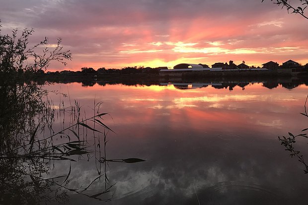 Вводная картинка