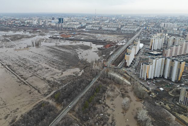 Вводная картинка