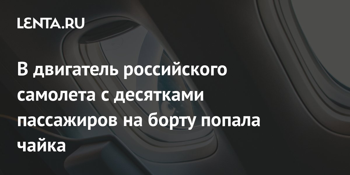 В двигатель российского самолета с десятками пассажиров на борту попала чайка