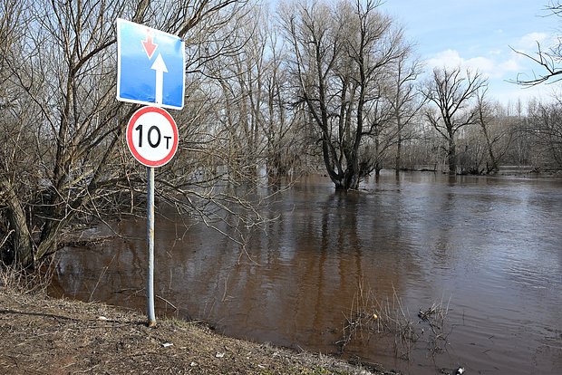 Вводная картинка