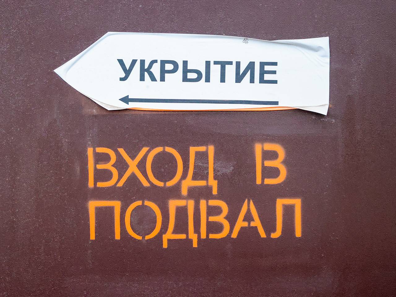 В Петербурге трех детей-маугли нашли в подвале жилого дома: Общество:  Россия: Lenta.ru