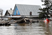 «Грызунов не посадишь». Тысячи россиян лишились домов из-за катастрофического потопа. Кто в этом виноват на самом деле? 