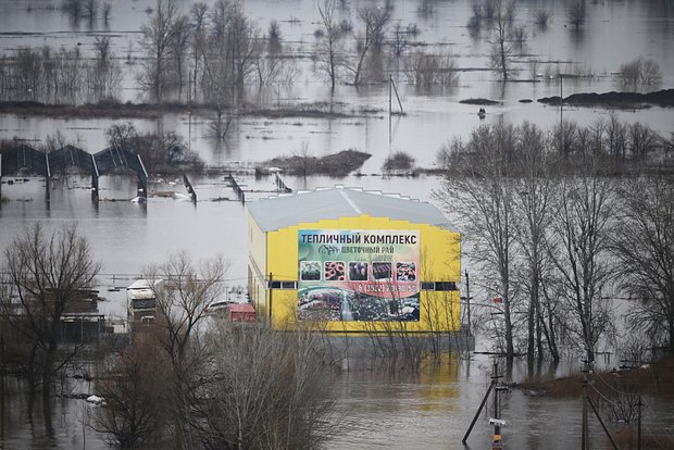 Вводная картинка