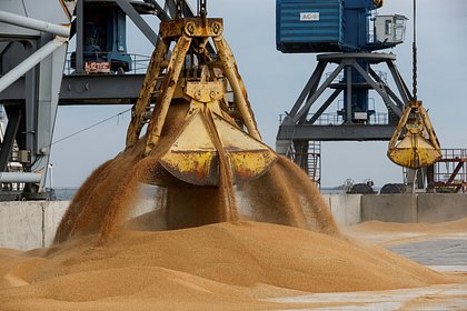 В России задумались о создании зерновой биржи для стран БРИКС