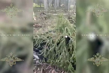 Мотоцикл стрелявшего по подмосковным полицейским попал на видео