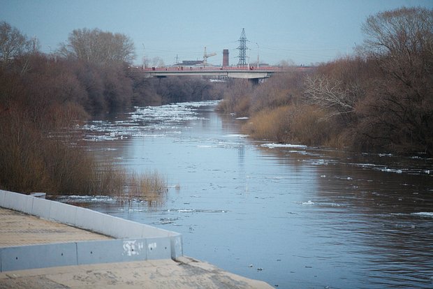 Вводная картинка