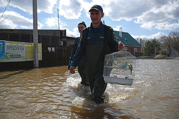 Вводная картинка