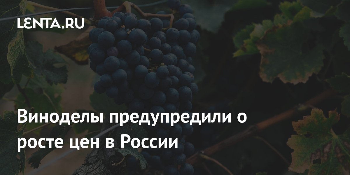 Виноделы предупредили о росте цен в России