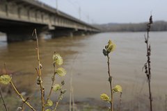 Уровень воды на реке в столице российского региона превысил опасную отметку