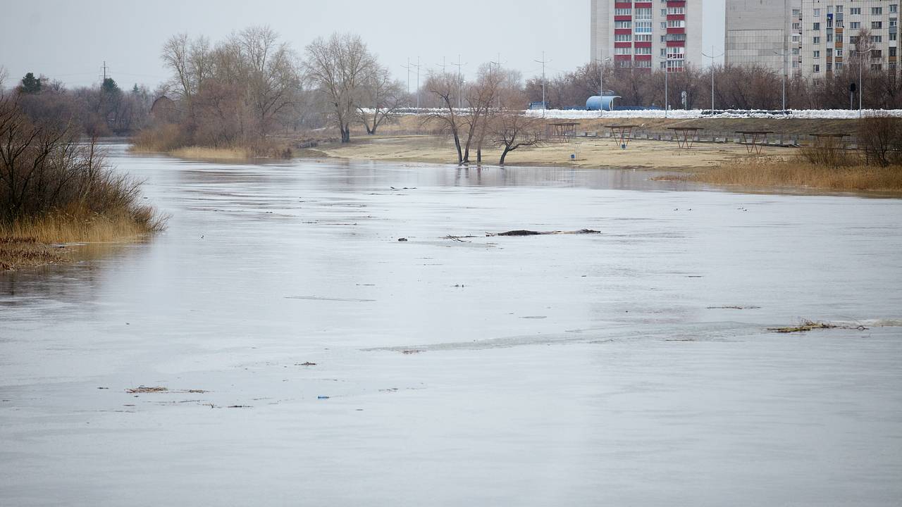 Уровень воды реки Тобол в Кургане снова поднялся: Климат и экология:  Экономика: Lenta.ru