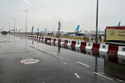 Стало известно число застрявших в аэропортах ОАЭ россиян