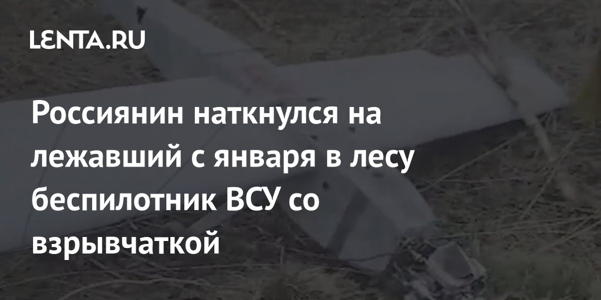 Россиянин наткнулся на лежавший с января в лесу беспилотник ВСУ со взрывчаткой