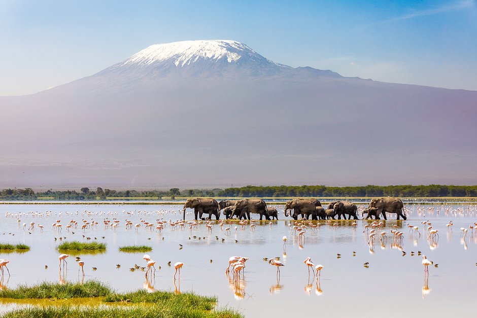 Гора Килиманджаро, Кения