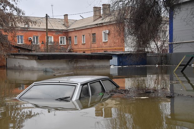 Вводная картинка