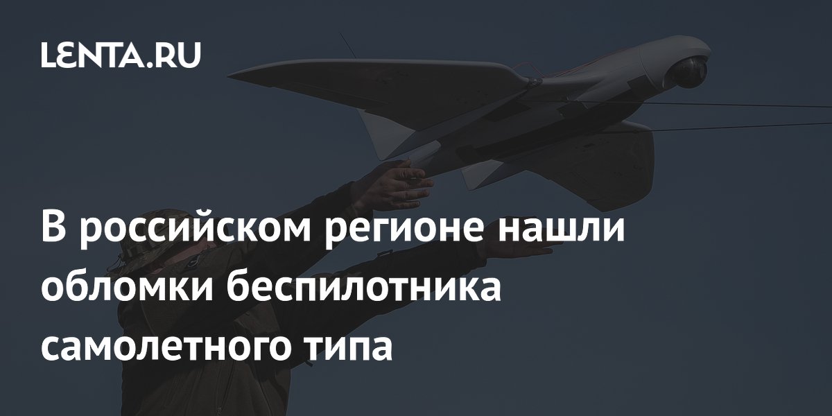 В российском регионе нашли обломки беспилотника самолетного типа