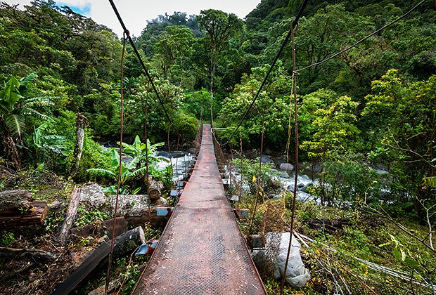 Тропа в джунглях к затерянным водопадам в Бокете, Панама